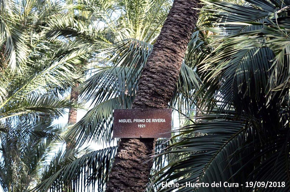 19 ELCHE HUERTO DEL CURA (68).JPG
